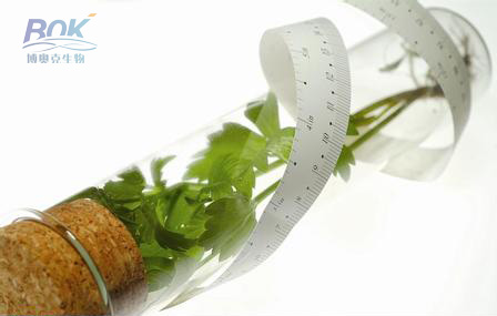 博奧克：以市場導(dǎo)向推動生物技術(shù)發(fā)展